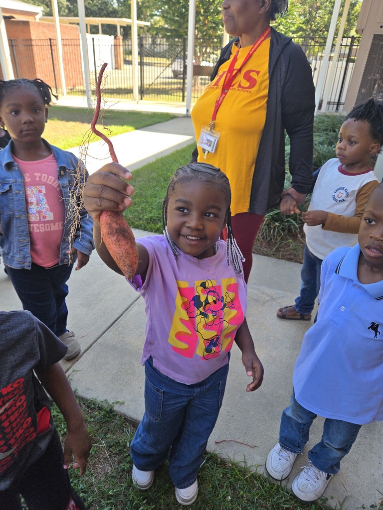 Pre-K garden
