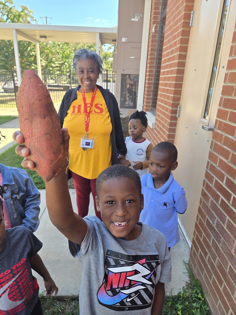 Pre-K garden