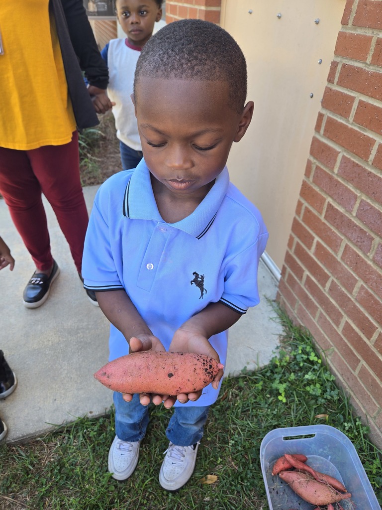 Pre-K garden
