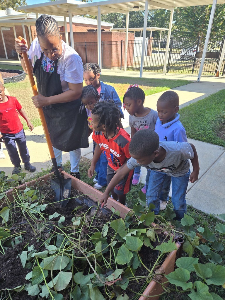 Pre-K garden