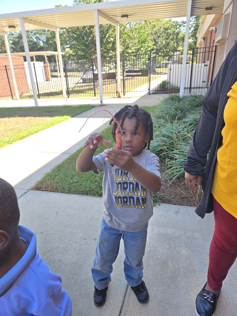Pre-K garden