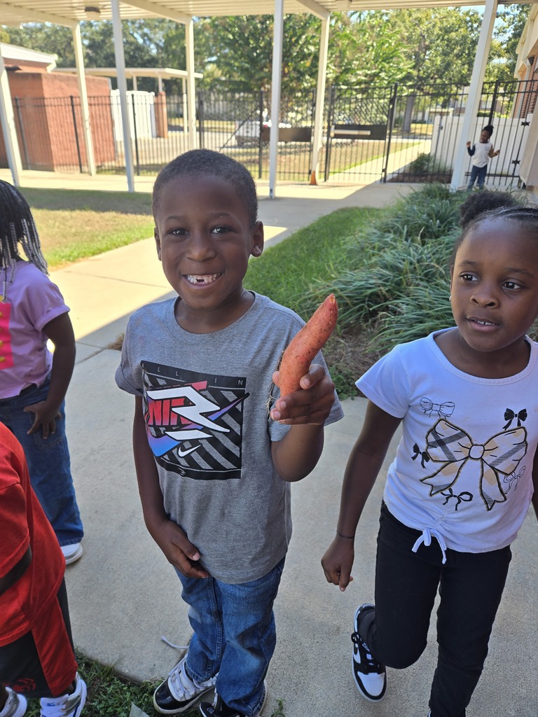 Pre-K garden