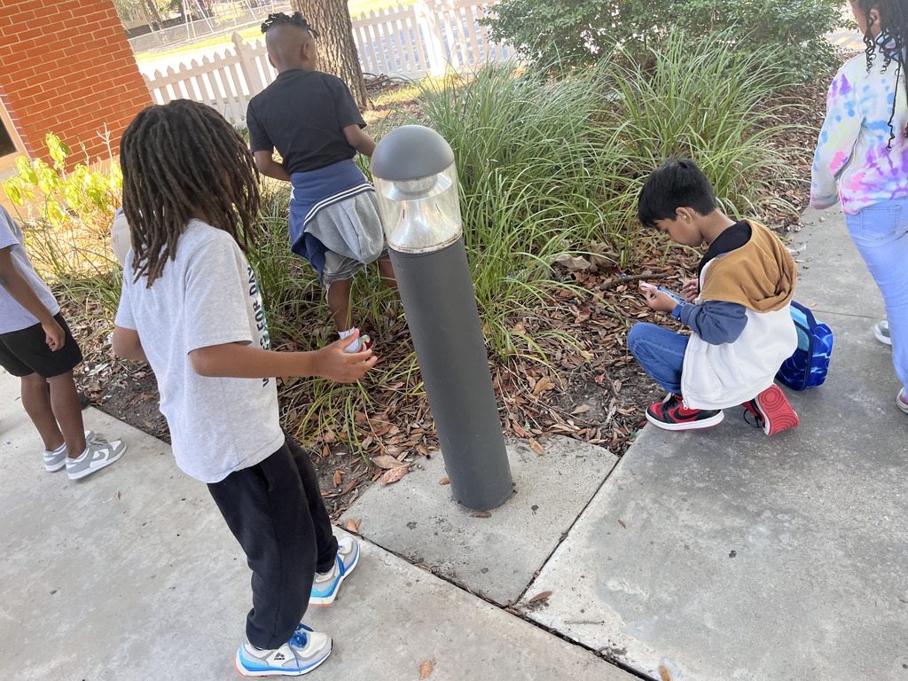 2nd grade Cleans Scottie Yard