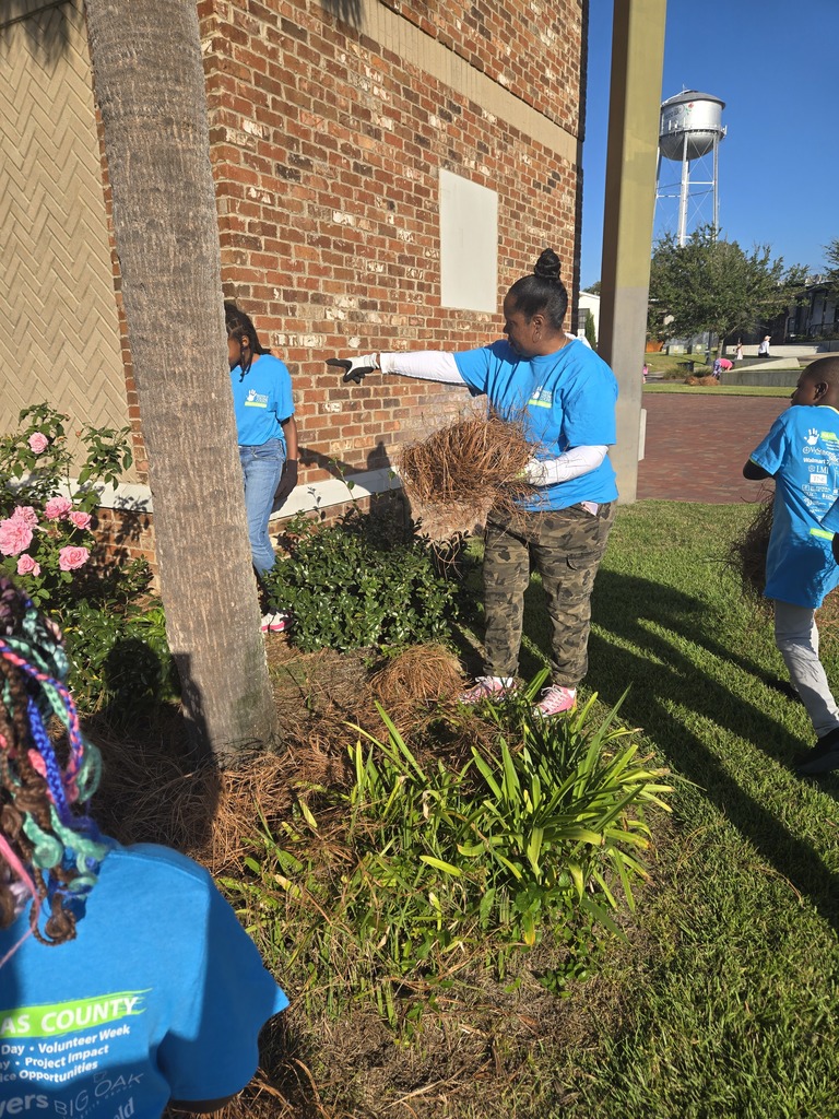 Hands on Thomas County
