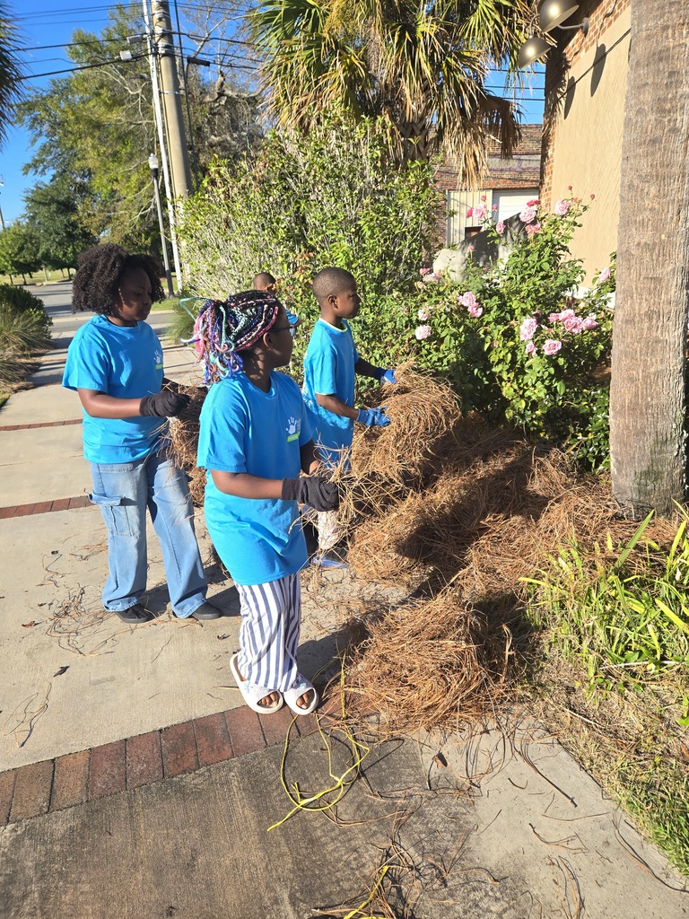 Hands on Thomas County