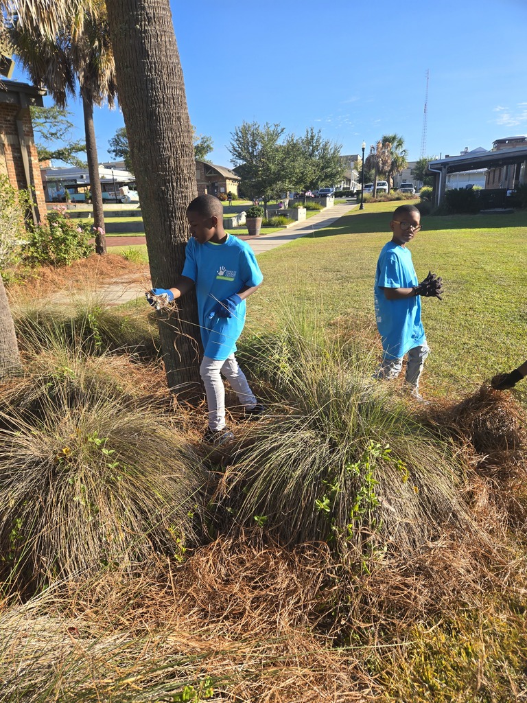 Hands on Thomas County