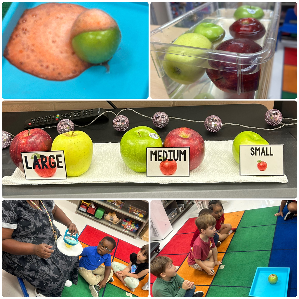 Apple Sorting