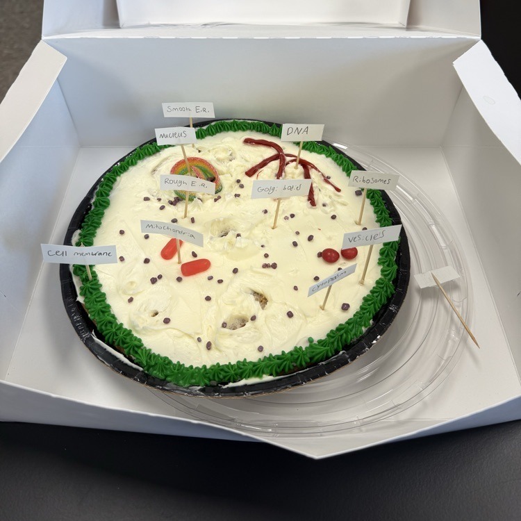 SA Mr. Kimmel Science Cells  4