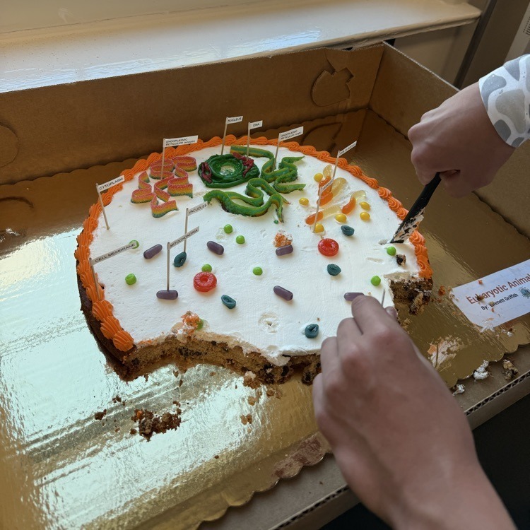 SA Mr. Kimmel Science Cells  6