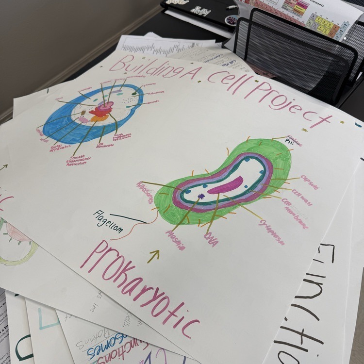 SA Mr. Kimmel Science Cells  2