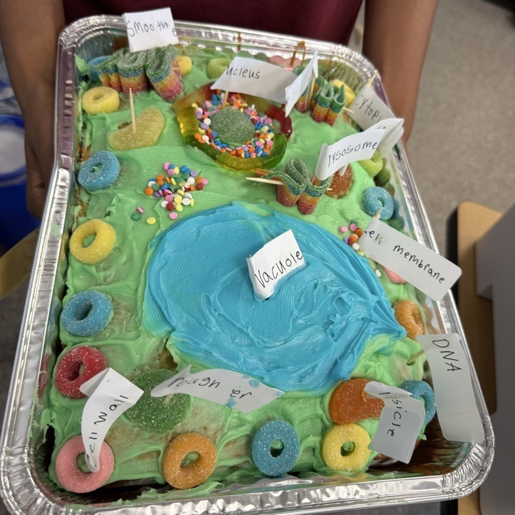 SA Mr. Kimmel Science Cells  1