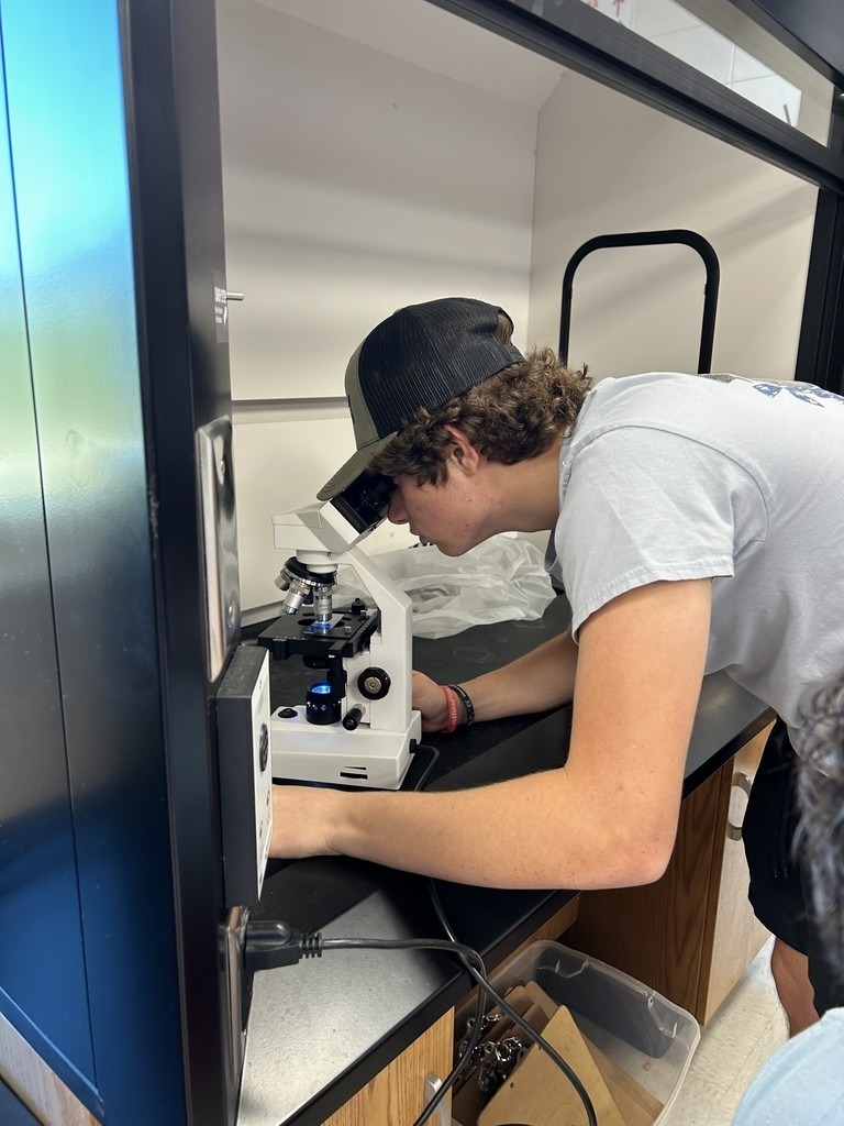 THS AP Biology Algae 1