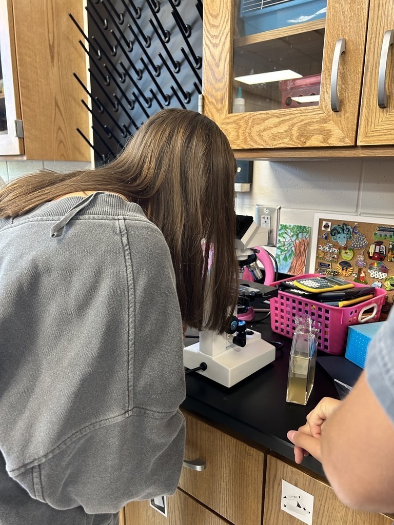 THS AP Biology Algae 3