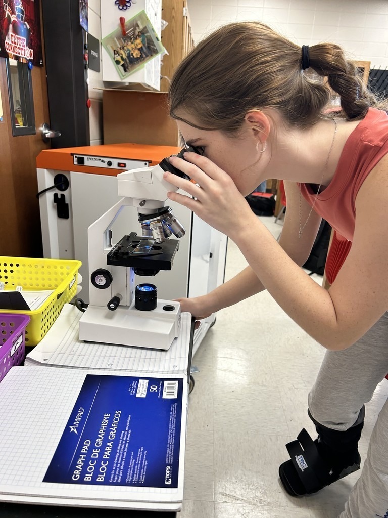 THS AP Biology Algae 2