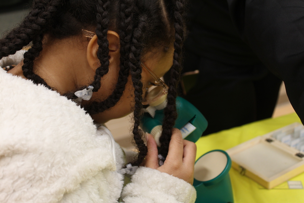 JES Book Character and STEM Day 5