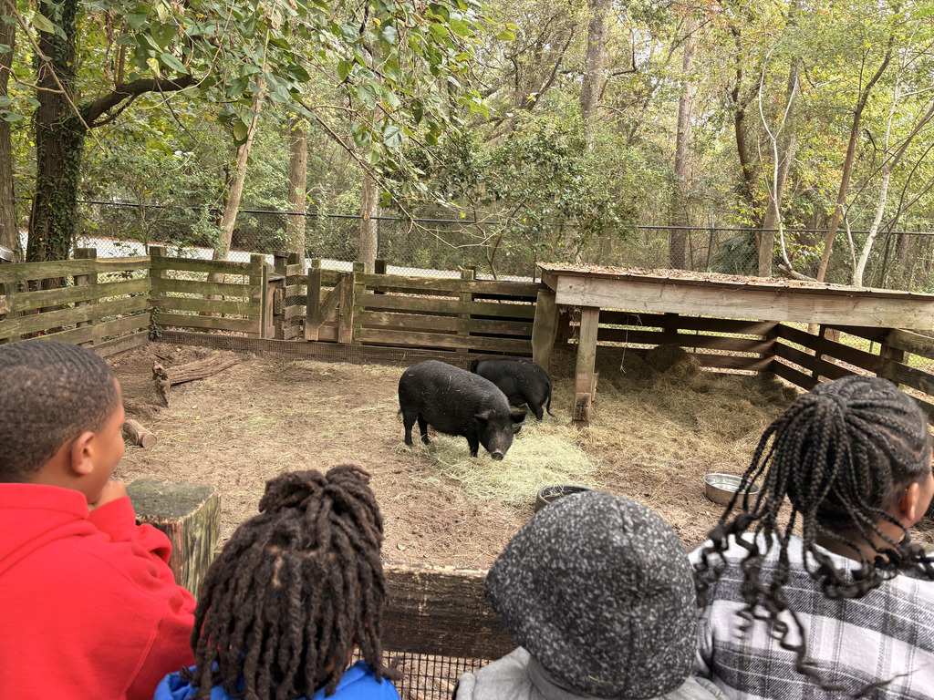 Tallahassee Museum