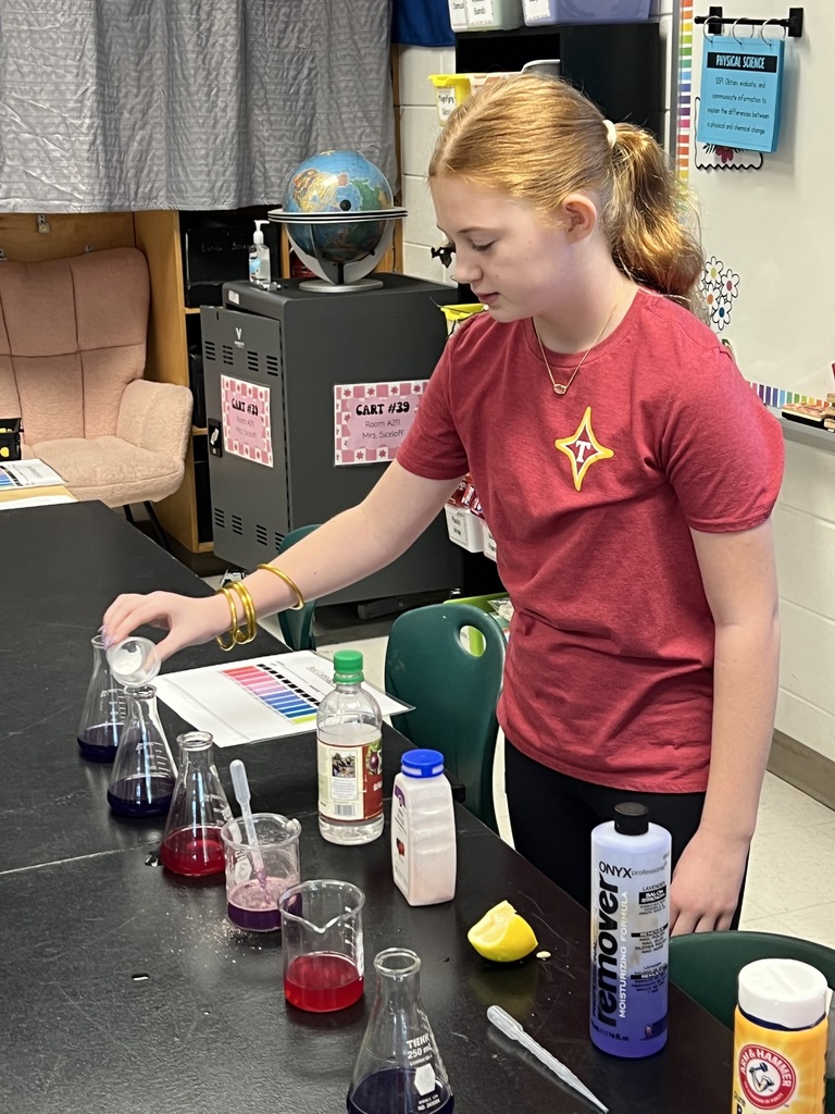 Red Cabbage Experiment