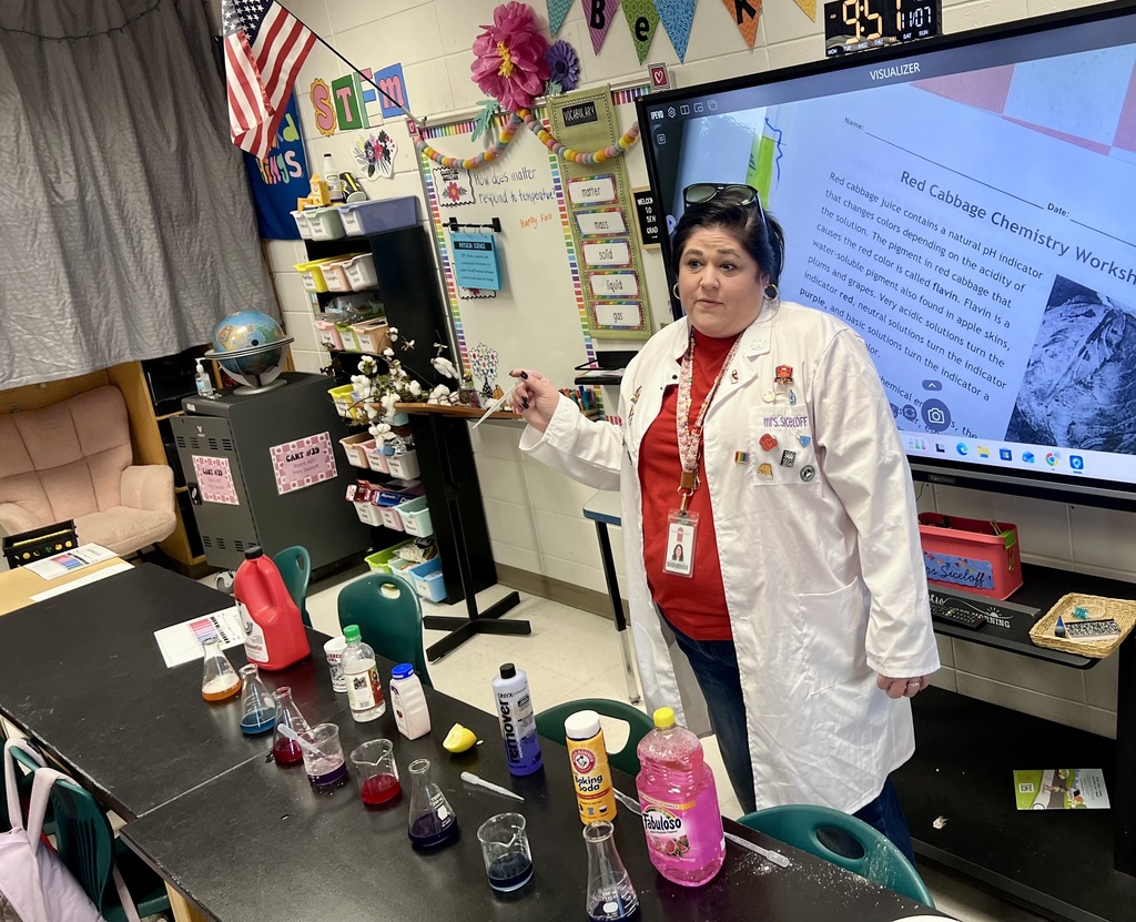 Red Cabbage Experiment