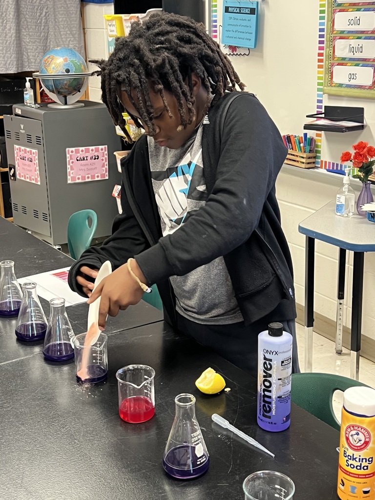 Red Cabbage Experiment