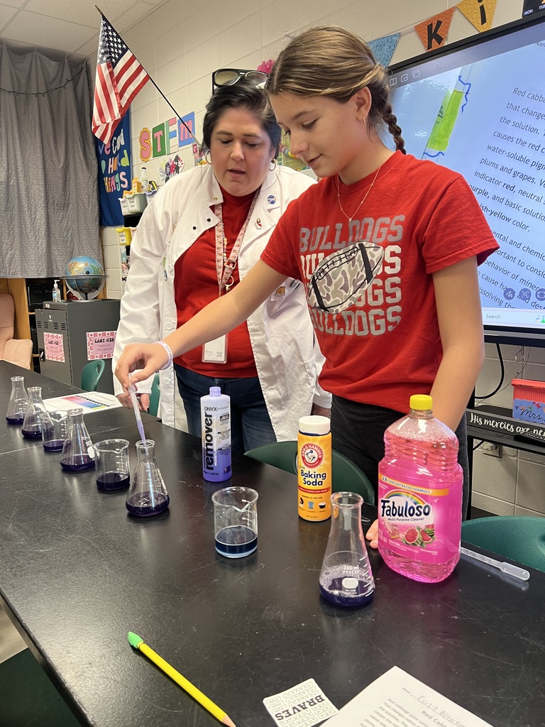 Red Cabbage Experiment