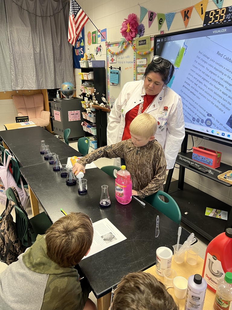 Red Cabbage Experiment