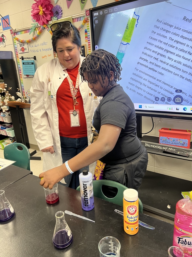 Red Cabbage Experiment