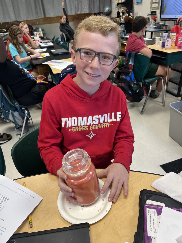 Red Cabbage Experiment