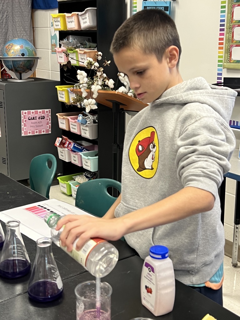 Red Cabbage Experiment