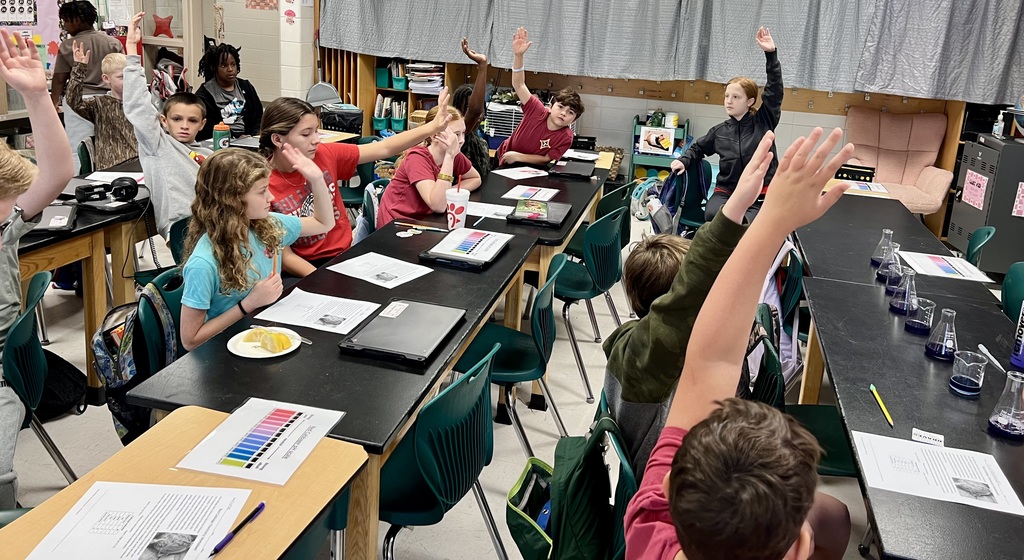 Red Cabbage Experiment
