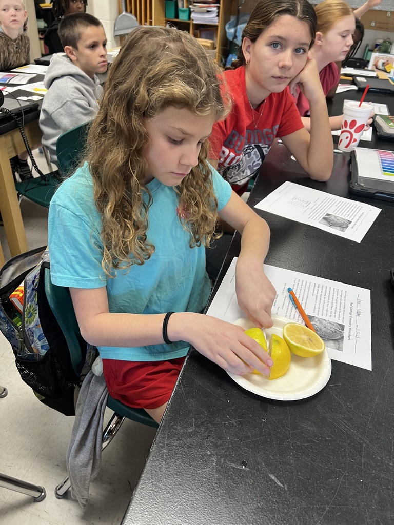 Red Cabbage Experiment