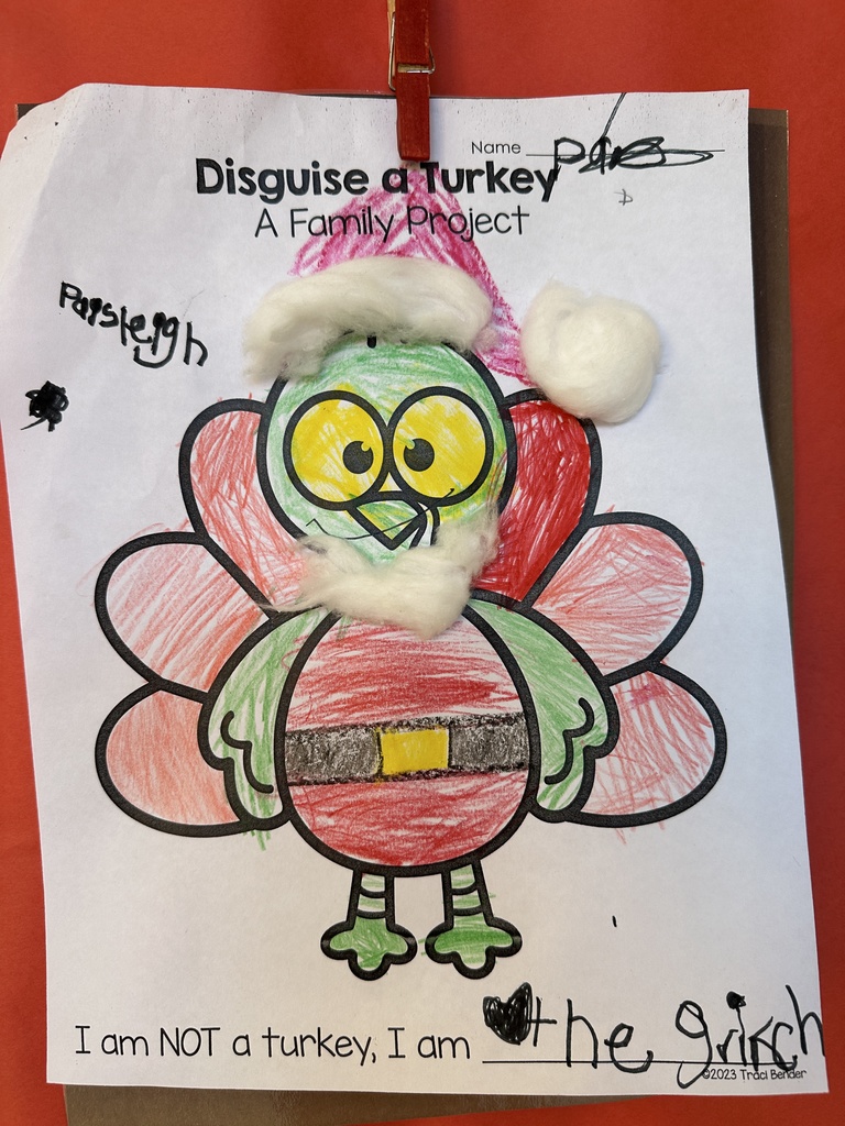 Turkey Disguise