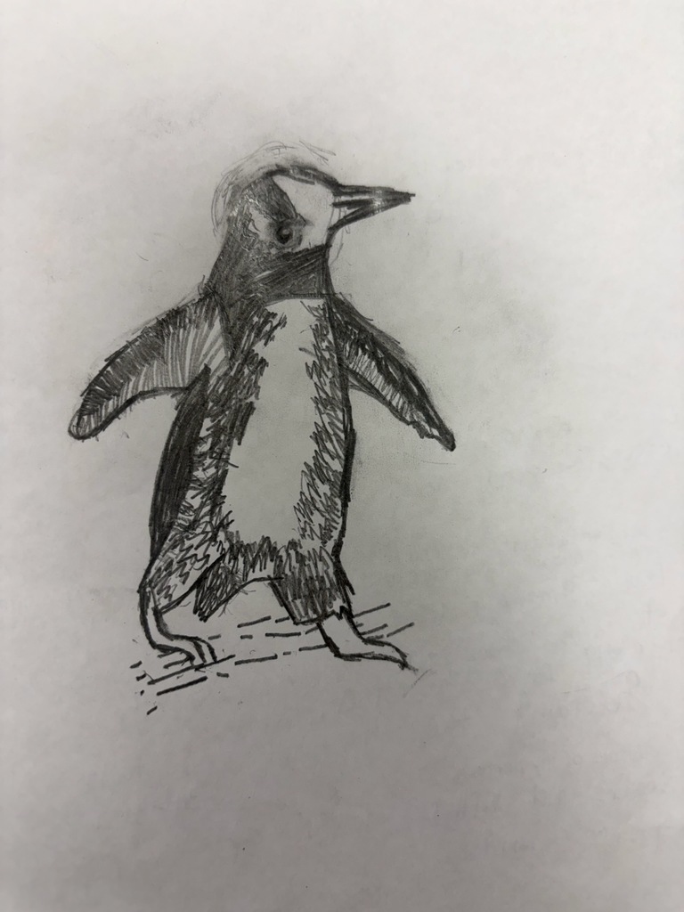Penguin research