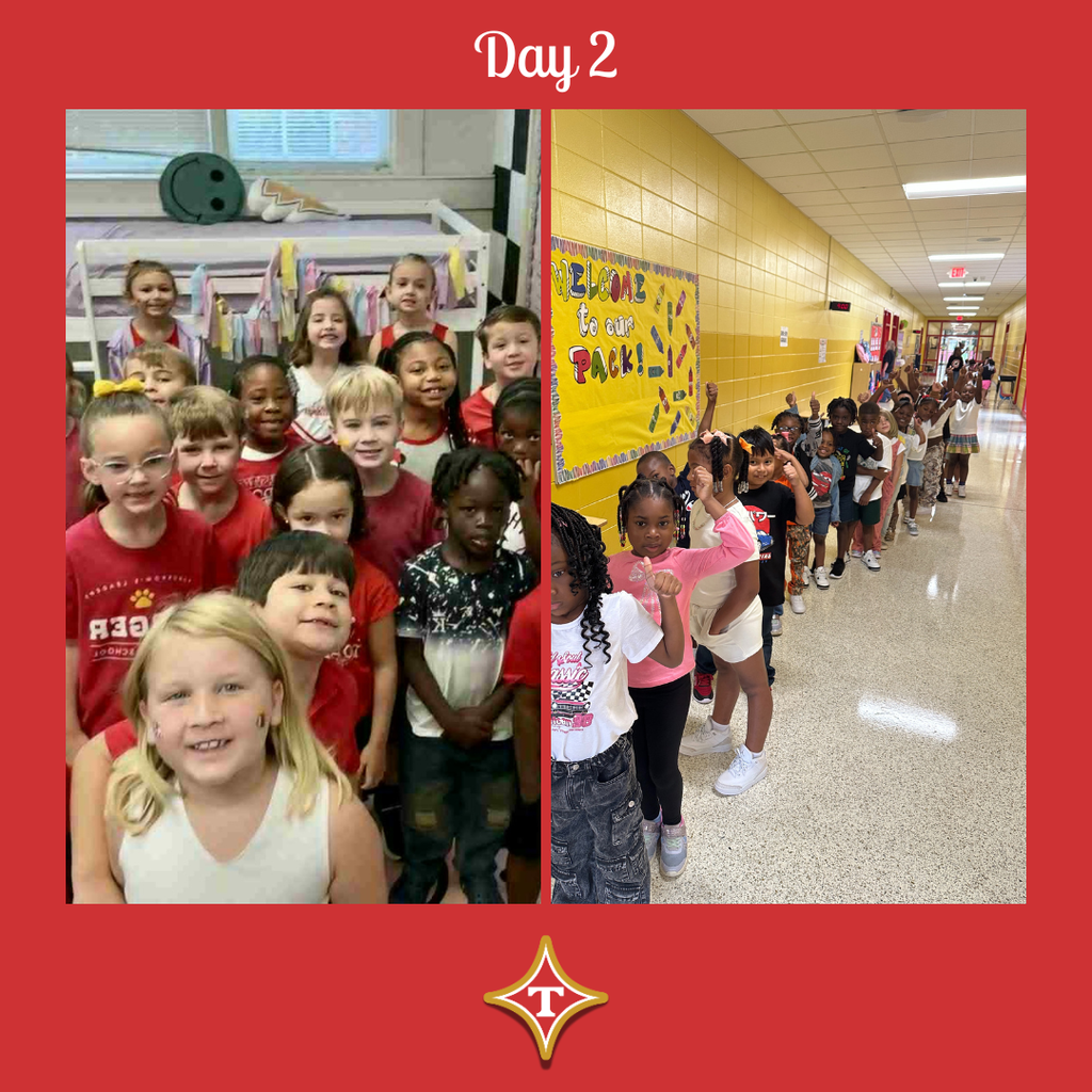TCS 12 Days of Christmas Day 2