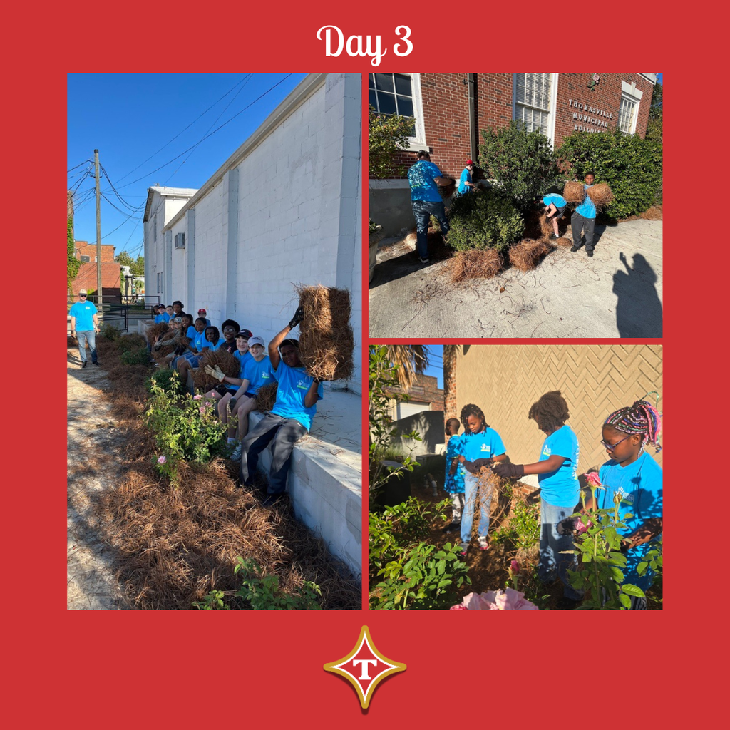 TCS 12 Day of Christmas Day 3 Acts of Kindness