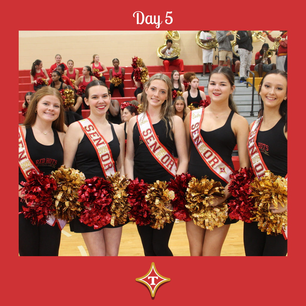 TCS 12 Days of Christmas Day 5 Paws