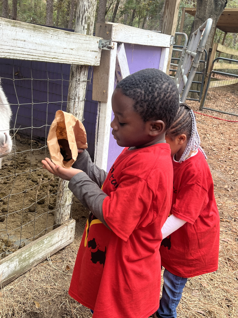 Redemptive Love Farm