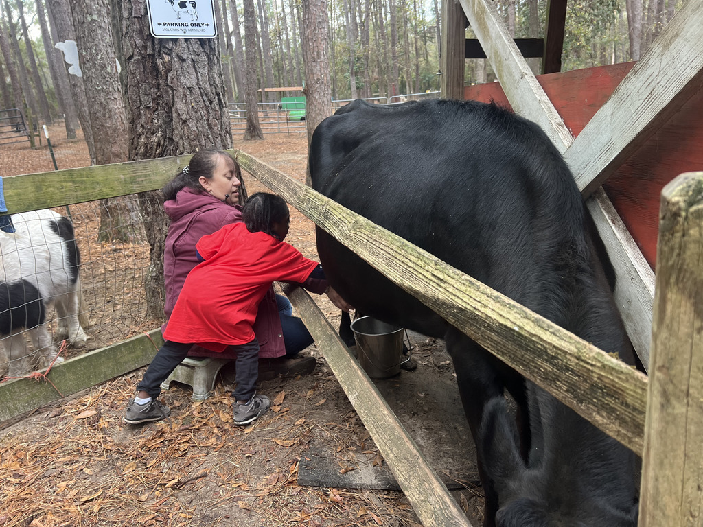 Redemptive Love Farm