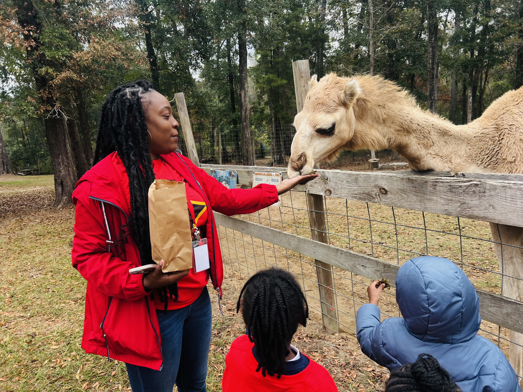 Redemptive Love Farm