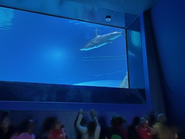 educational experience