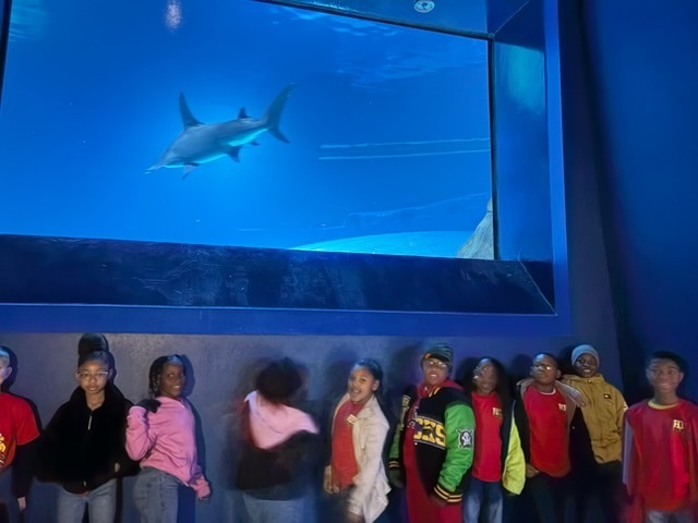 educational experience