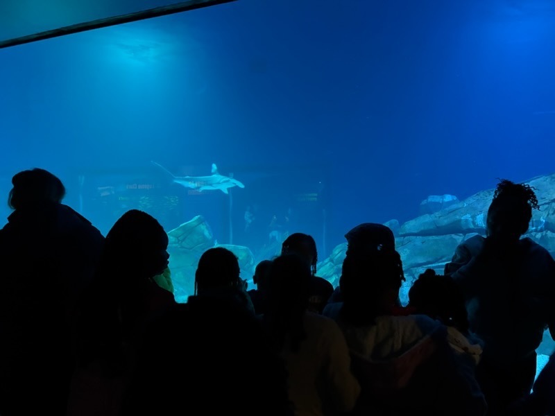 educational experience