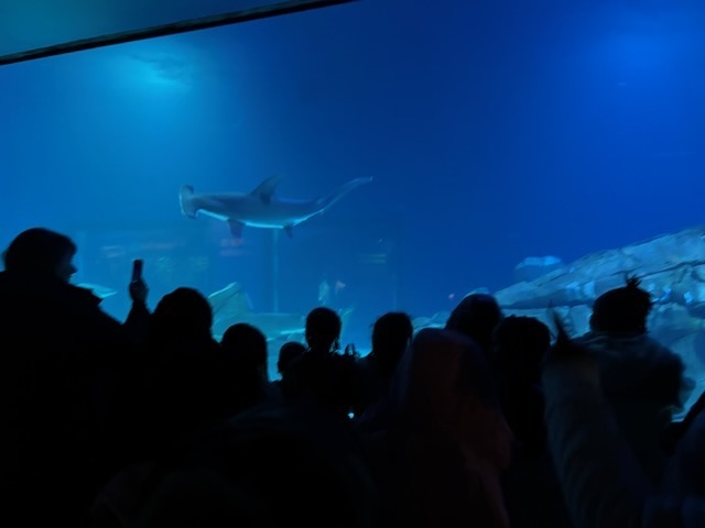 educational experience