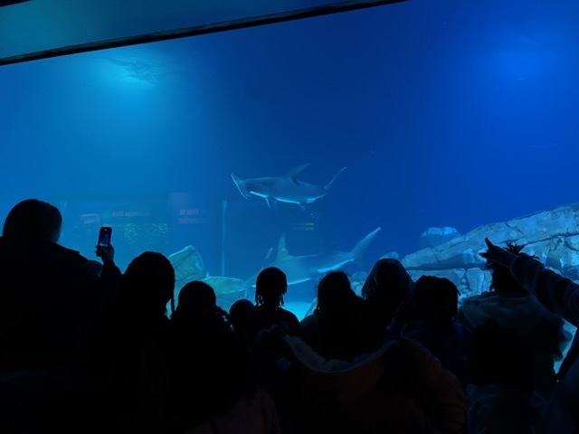 educational experience