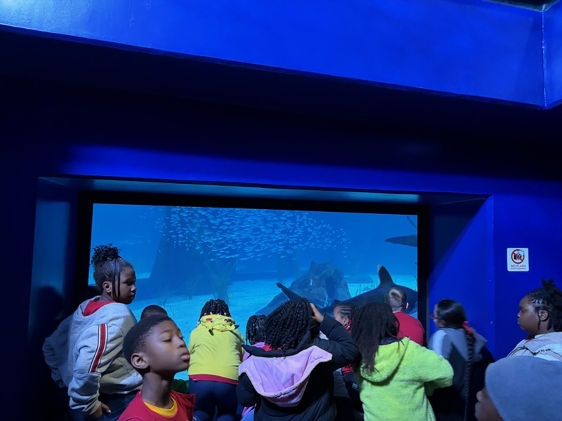 educational experience