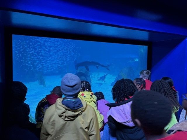 educational experience