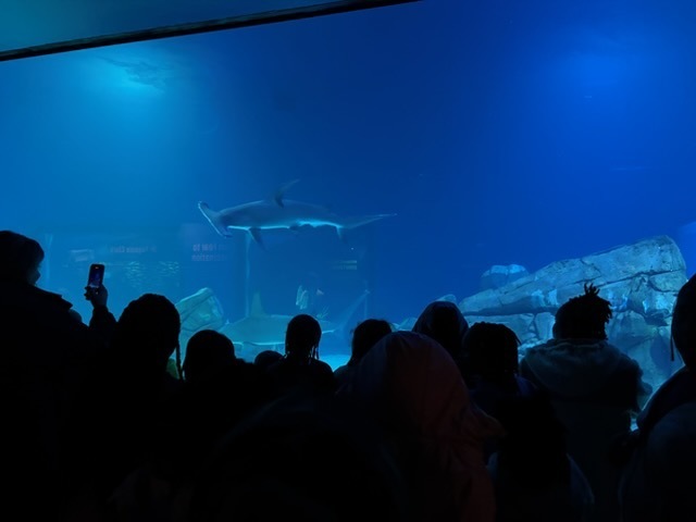 educational experience