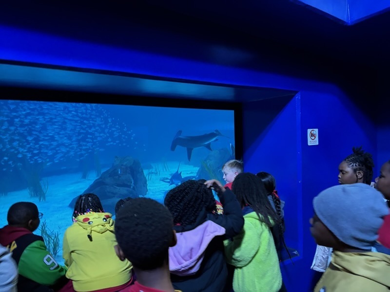 educational experience