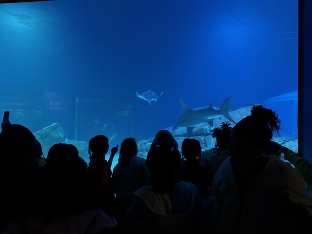 educational experience