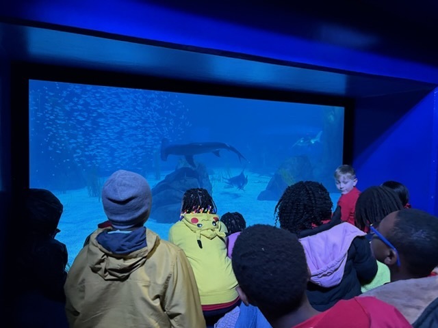 educational experience