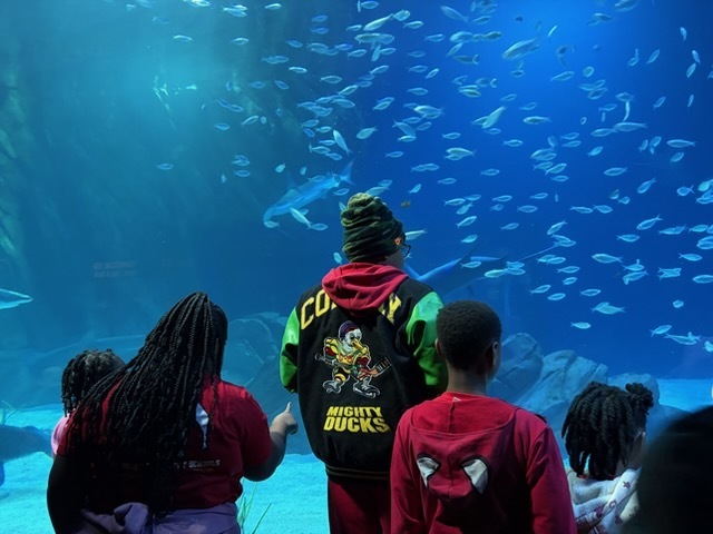 educational experience